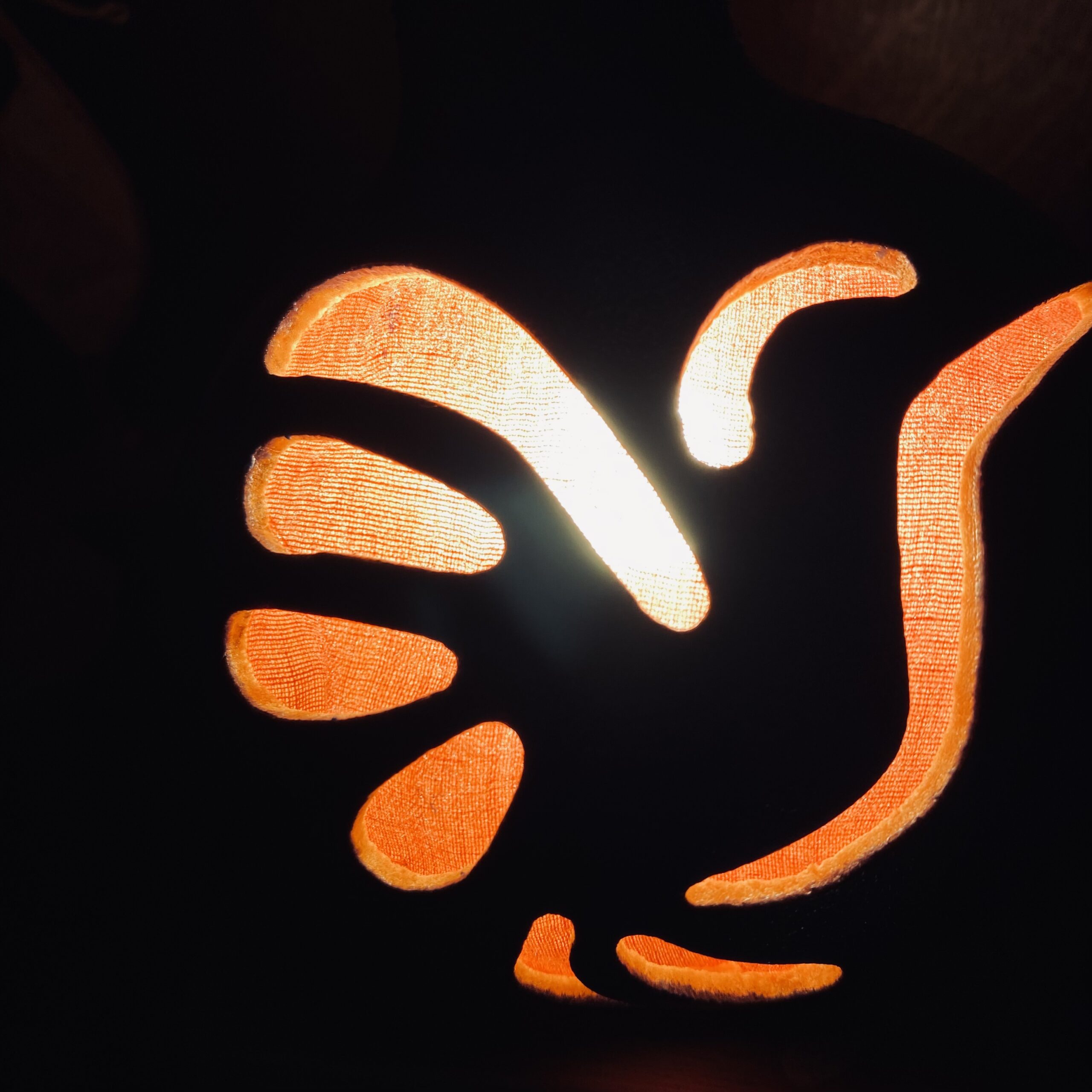 Petite - Motif colibri - bleu et rose – Image 5