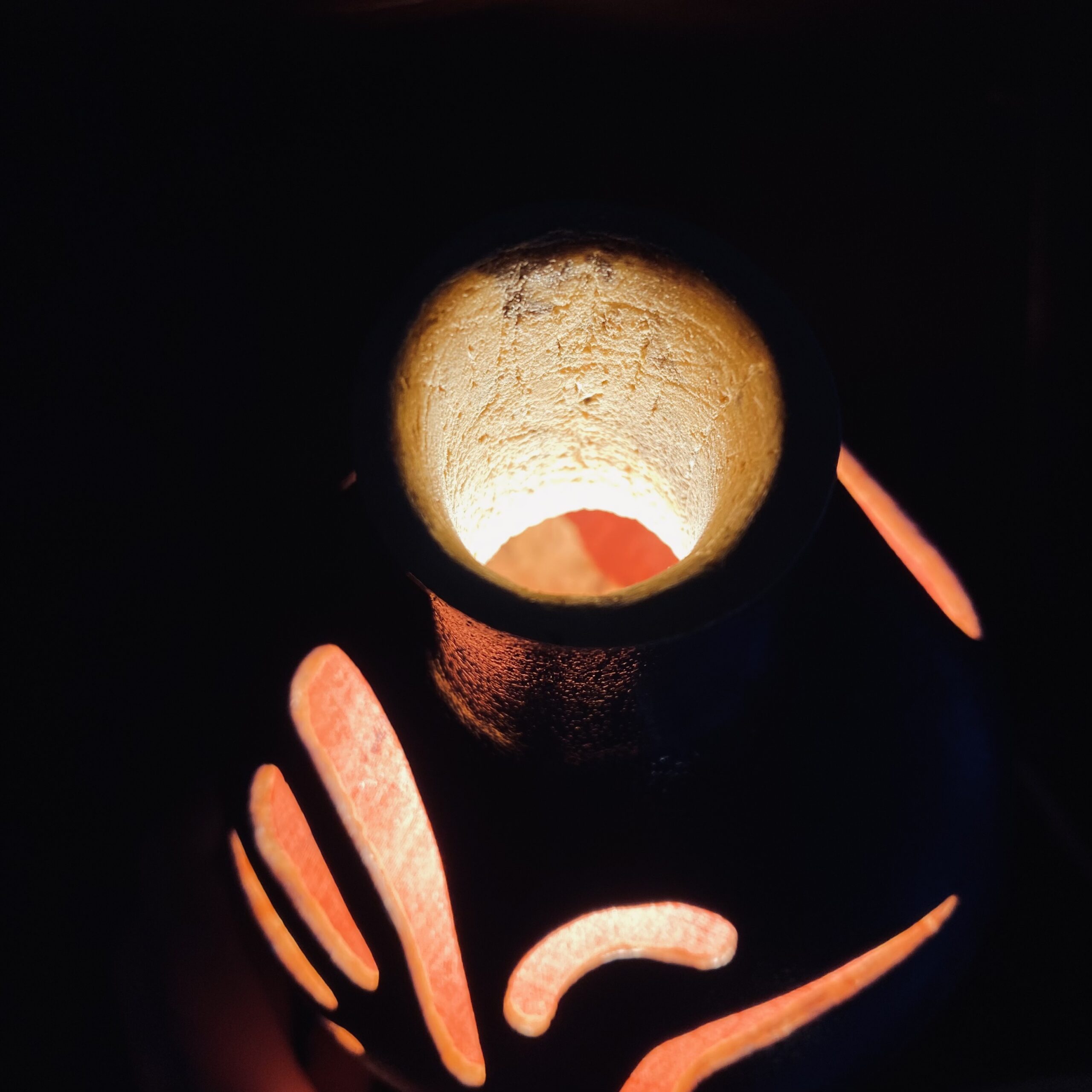 Petite - Motif colibri - bleu et rose – Image 6