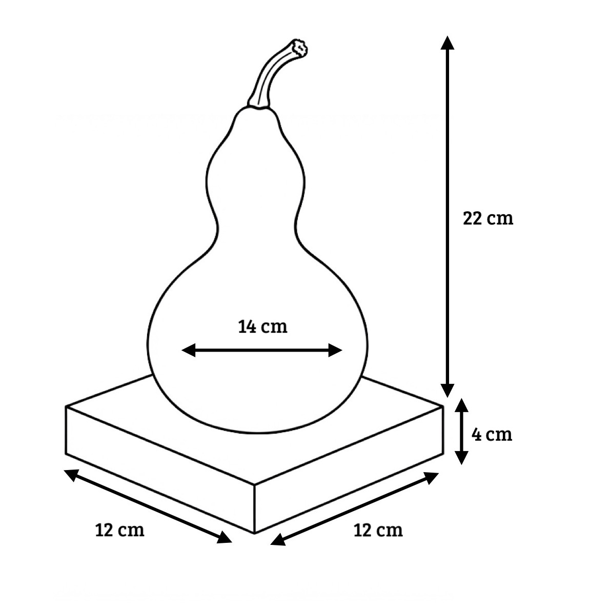 Lampe en calebasse - Collection Épurée - Pièce unique - Création artisanale française - socle en Chêne Massif - H 26 cm – Image 5